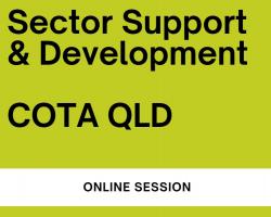Online session