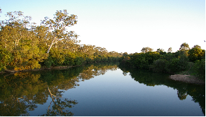 Regional Ecosystem Vegetation Mapping Project